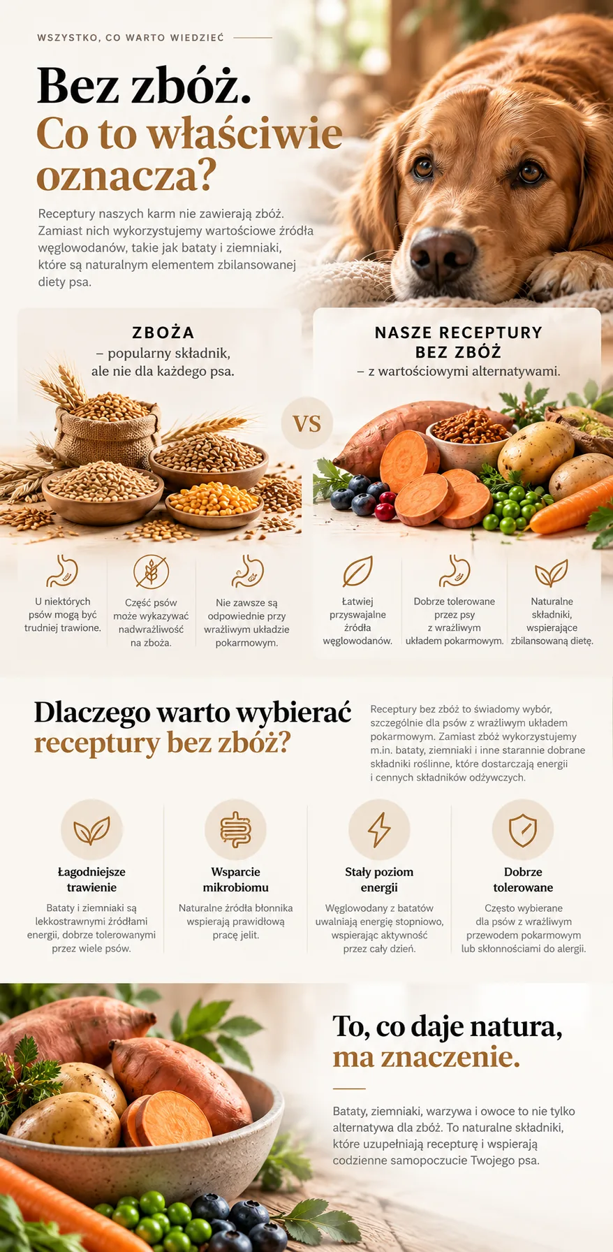 Bez zbóż — porównanie receptur ze zbożami i bez zbóż, zalety batatów i ziemniaków jako źródła węglowodanów
