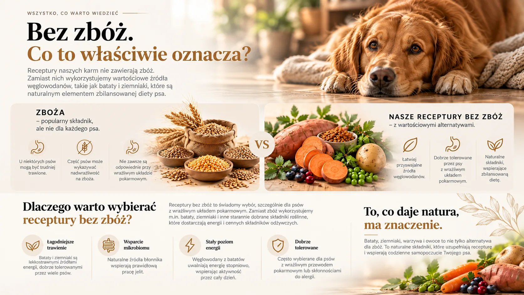 Bez zbóż — porównanie receptur ze zbożami i bez zbóż, zalety batatów i ziemniaków jako źródła węglowodanów