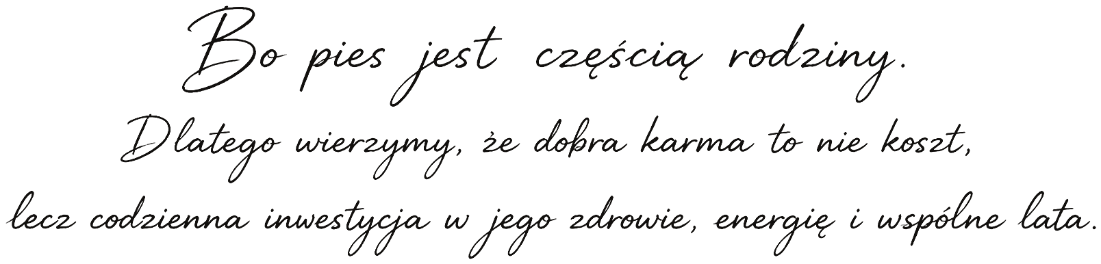 Bo pies jest częścią rodziny. Dlatego wierzymy, że dobra karma to nie koszt, lecz codzienna inwestycja w jego zdrowie, energię i wspólne lata.