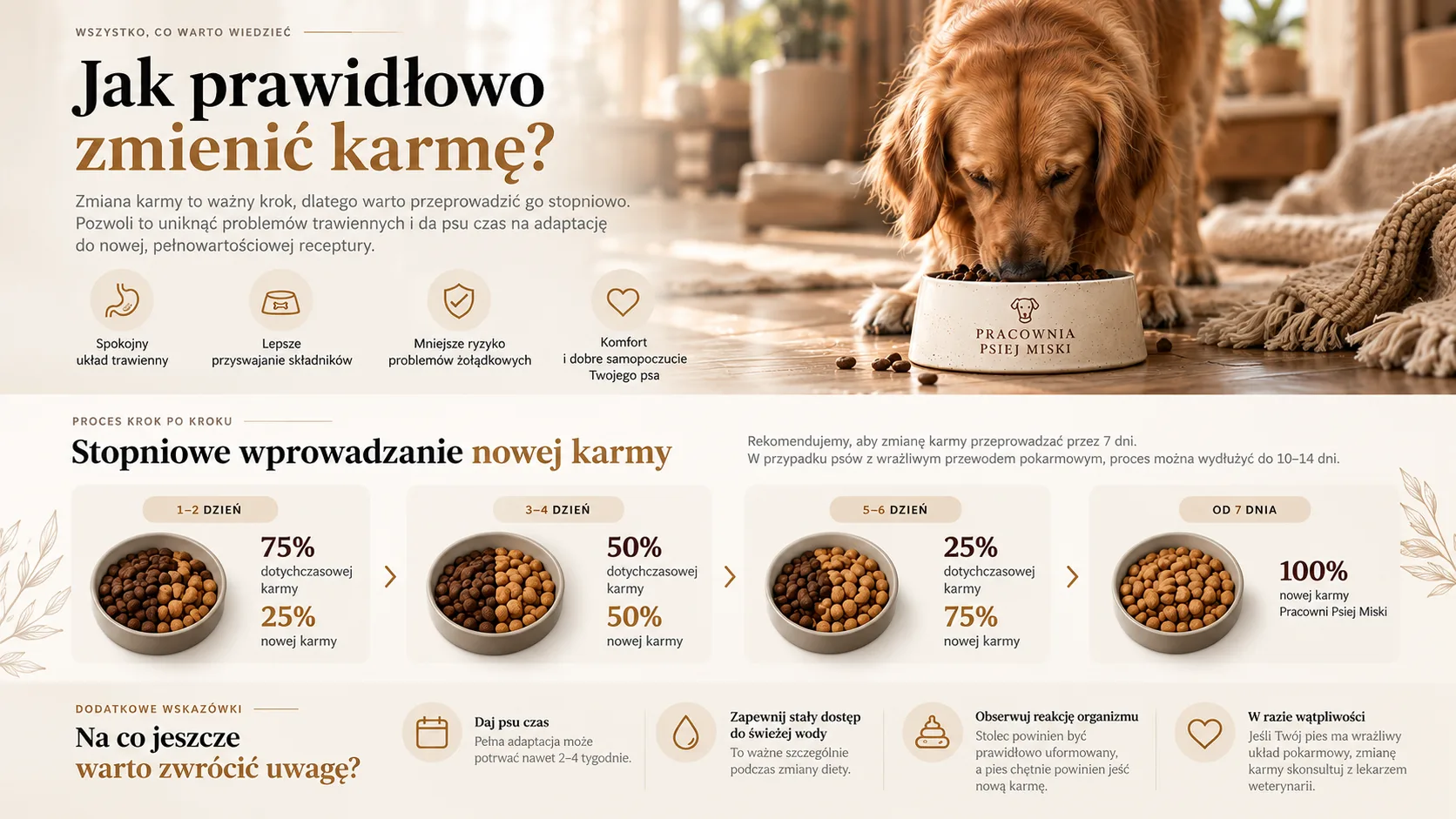Jak prawidłowo zmienić karmę — stopniowe wprowadzanie nowej karmy przez 7 dni: 75/25, 50/50, 25/75 i 100% nowej karmy, dodatkowe wskazówki